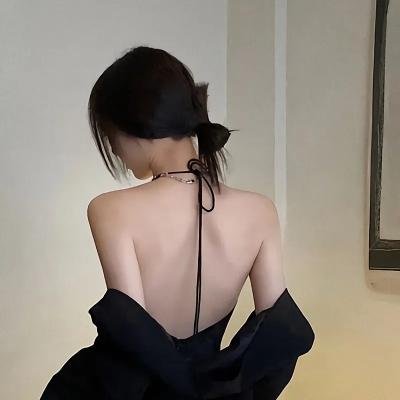 我私人的爱达荷